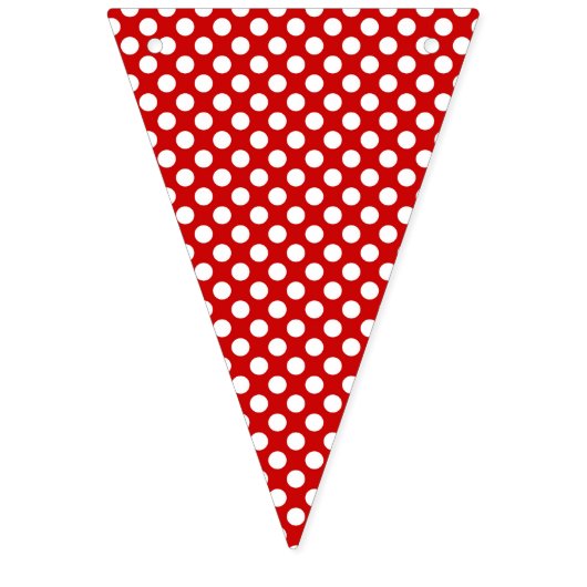 Pirate Party Bunting Flag Vlaggetjes (Eerste vlag)