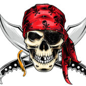 PIRATE PARTY SKULLS FOTO AFDRUK