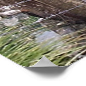 Pirate Pete Poster (Hoek)