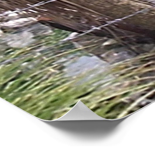 Pirate Pete Poster (Hoek)