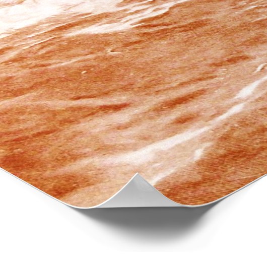 PIRATE SCHIP BATTLE IN BROWN SEPIA POSTER (Hoek)