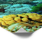 PIRATE SKELETON IN EEN BARREL POSTER (Hoek)