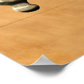 Pirate Skull Poster (Hoek)