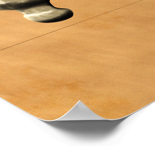 Pirate Skull Poster (Hoek)