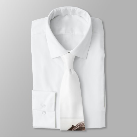 Pirate Stropdas (Gebonden)