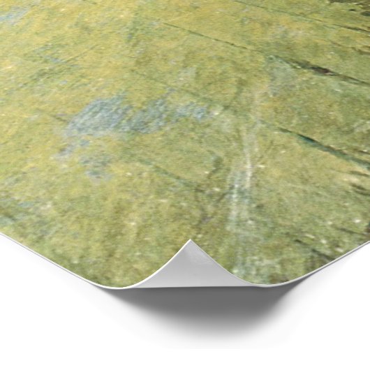  Pirate, The Flying Dutchman van Howard Pyle Poster (Hoek)