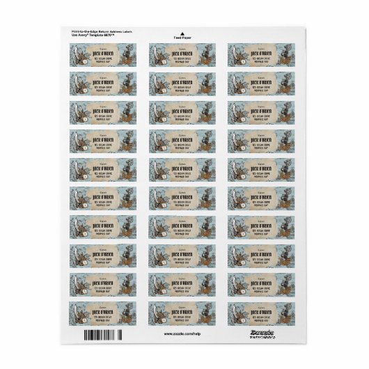  Pirate Treasure Map Return Address Etiket (Full Sheet)
