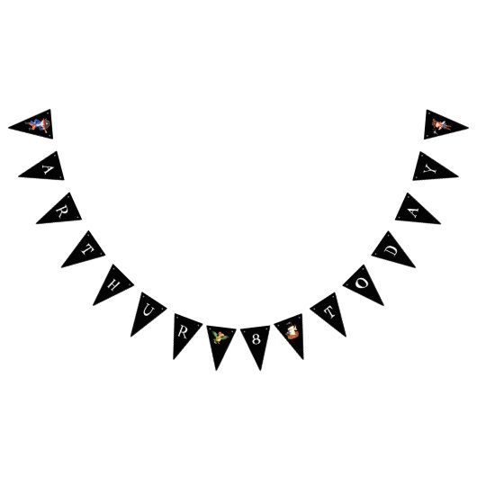 Pirate verjaardag thema feestschat papegaai vlaggetjes (Alle)