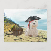 Pirate Westie Briefkaart (Voorkant)