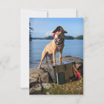 Pirate Zee Hondenkostuum boek Funny Dog Fotokaart