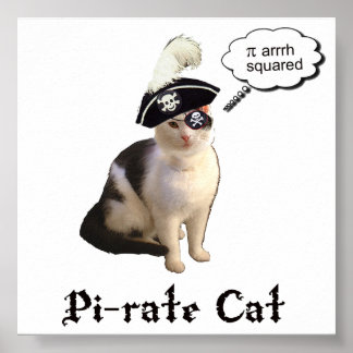 PiRateCat Poster