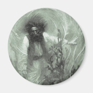 piraten, kapitein Goldsack van Howard Pyle Magneet