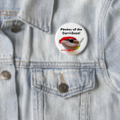 Piraten van de Carri-Bean! Ronde Button 5,7 Cm (In situ)