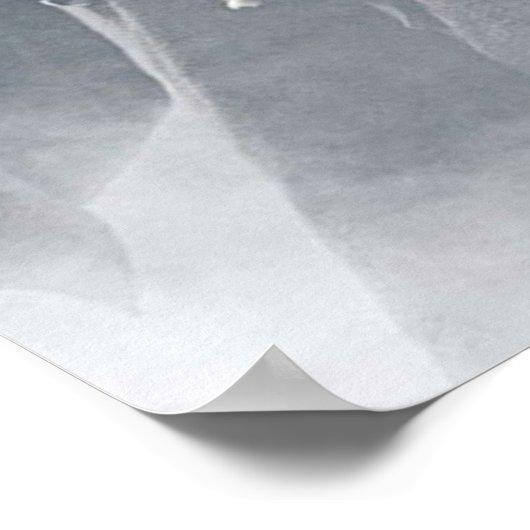 Piraten van het caribisch gebied poster (Hoek)