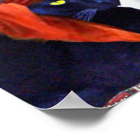 PIRATENKATJEN POSTER (Hoek)