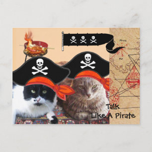 PIRATENKATten ANTIQUE PIRATEN SCHATKAARTEN EN VLAG Briefkaart