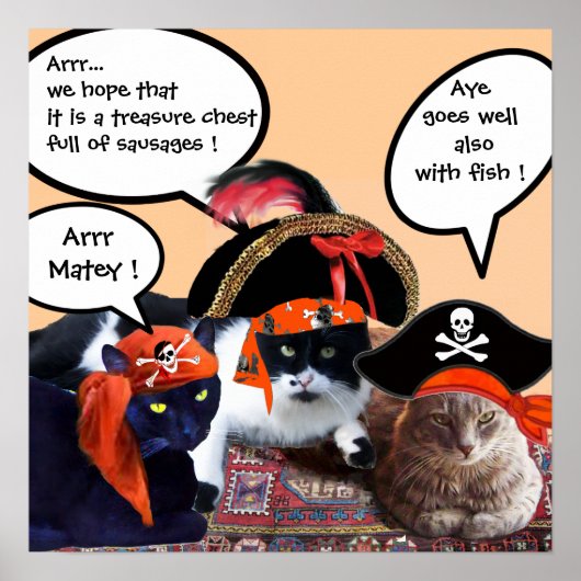 PIRATENKATten Poster (Voorkant)