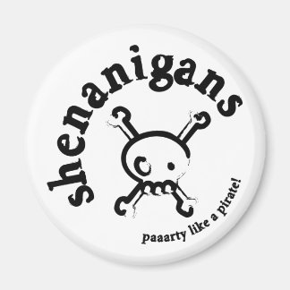 piratenpartij magneet