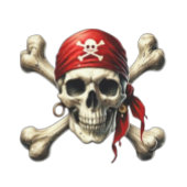 piratenschedel ronde sticker