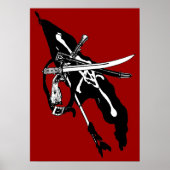 piratenvlag, Jolly Roger Skull Crossbones Poster (Voorkant)