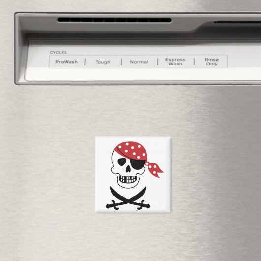Pirates Skull Magnet (Insitu (Vaatwasser))