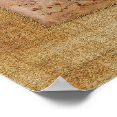 Piri Reis Map Poster (Hoek)