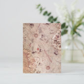 Piri Reis Old Wereldkaart Briefkaart (Staand voorkant)