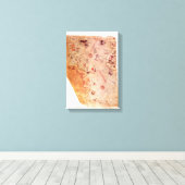 Piri Reis Oude Wereldkaart op Canvas Wrap Afdruk (Insitu (Houten vloer))