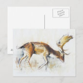 Pisanello Buck Briefkaart (Voorkant / Achterkant)