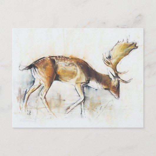 Pisanello Buck Briefkaart (Voorkant)