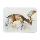 Pisanello Buck Magneet (Horizontaal)