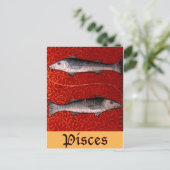 Pisces2 Briefkaart (Staand voorkant)