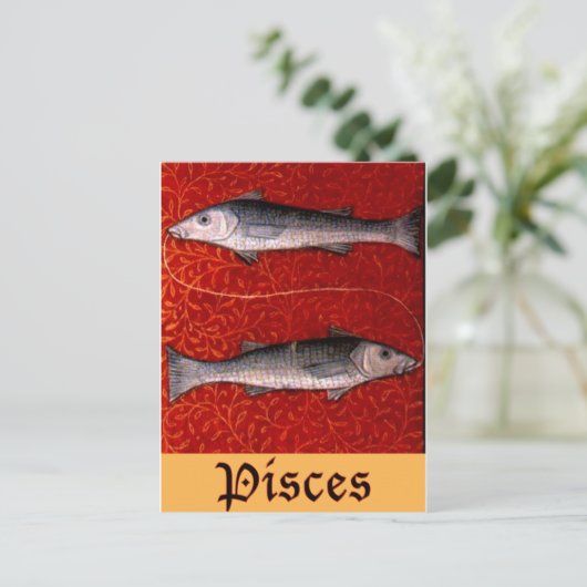 Pisces2 Briefkaart (Staand voorkant)