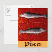 Pisces2 Briefkaart (Voorkant / Achterkant)