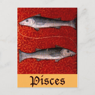 Pisces2 Briefkaart