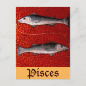 Pisces2 Briefkaart (Voorkant)
