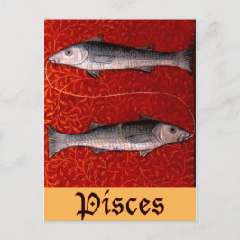 Pisces2 Briefkaart