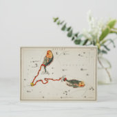 Pisces Astronomical Star Sign Zodiac Birthday Note Feestdagenkaart (Staand voorkant)
