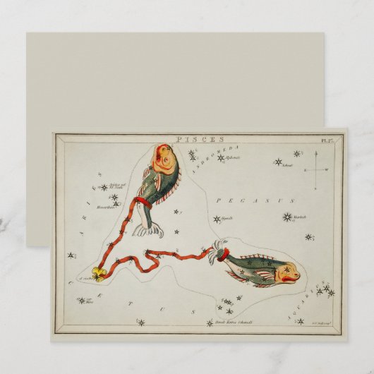 Pisces Astronomical Star Sign Zodiac Birthday Note Feestdagenkaart (Voorkant / Achterkant)