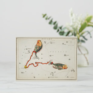 Pisces Astronomical Star Sign Zodiac Birthday Note Feestdagenkaart