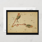 Pisces Briefkaart (Voorkant / Achterkant)