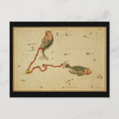 Pisces Briefkaart (Voorkant)