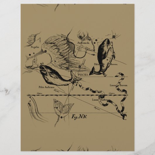 Pisces Constellation Hevelius 1690 Decor (Voorkant)