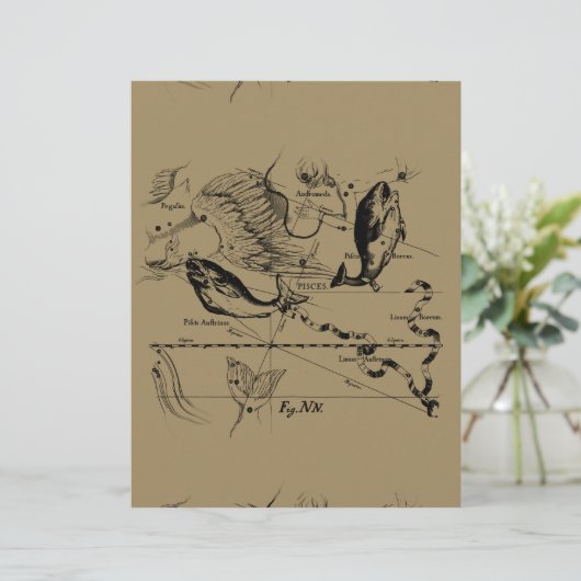 Pisces Constellation Hevelius 1690 Decor (Staand voorkant)