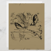 Pisces Constellation Hevelius 1690 Decor (Voorkant / Achterkant)