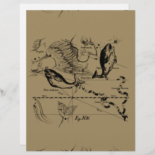 Pisces Constellation Hevelius 1690 Decor (Voorkant / Achterkant)