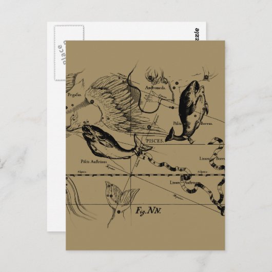 Pisces Constellation Hevelius 1690 Decor Briefkaart (Voorkant / Achterkant)