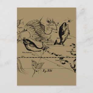 Pisces Constellation Hevelius 1690 Decor Briefkaart