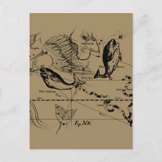 Pisces Constellation Hevelius 1690 Decor Briefkaart (Voorkant)
