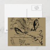 Pisces Constellation Hevelius 1690 Decor Briefkaart (Voorkant / Achterkant)